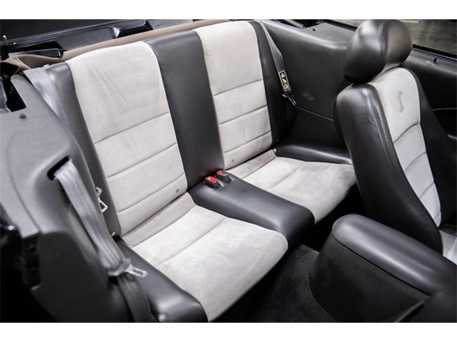 2003 Ford Cobra (CC-2070362) for sale in Bristol, Pennsylvania