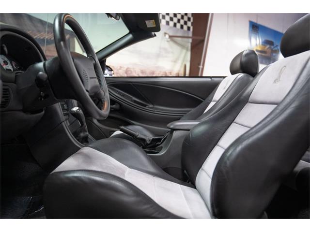 2003 Ford Cobra (CC-2070362) for sale in Bristol, Pennsylvania