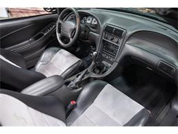 2003 Ford Cobra (CC-2070362) for sale in Bristol, Pennsylvania