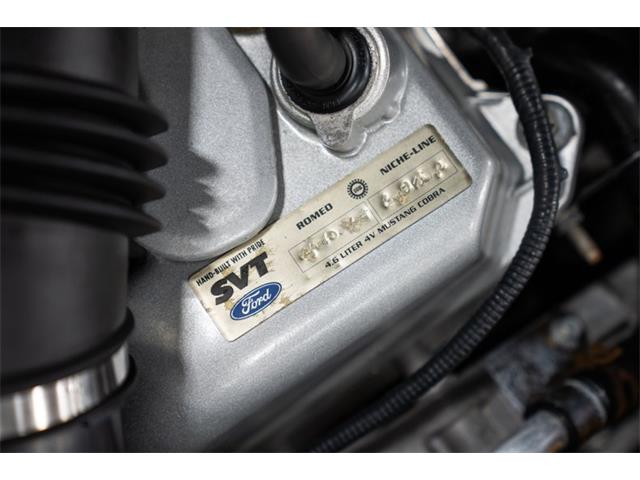 2003 Ford Cobra (CC-2070362) for sale in Bristol, Pennsylvania