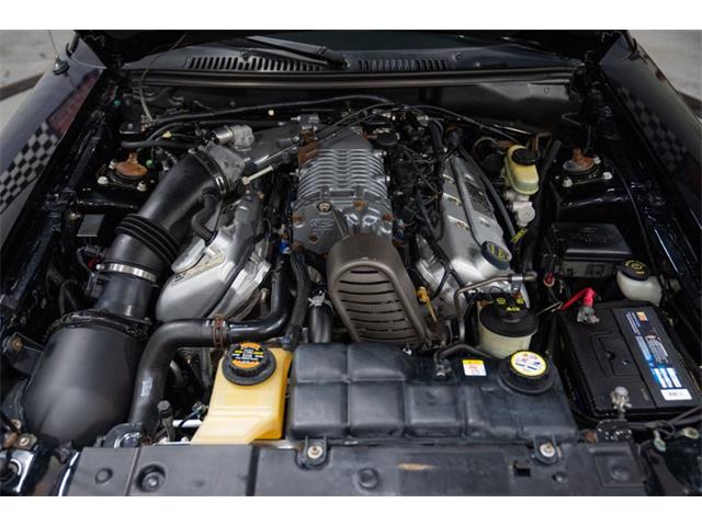 2003 Ford Cobra (CC-2070362) for sale in Bristol, Pennsylvania