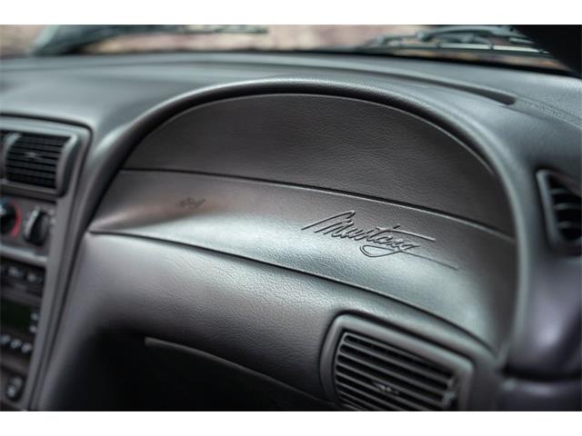 2003 Ford Cobra (CC-2070362) for sale in Bristol, Pennsylvania