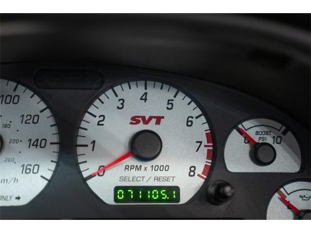 2003 Ford Cobra (CC-2070362) for sale in Bristol, Pennsylvania