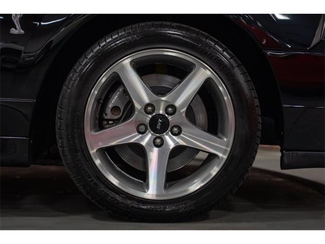 2003 Ford Cobra (CC-2070362) for sale in Bristol, Pennsylvania