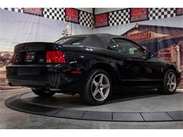 2003 Ford Cobra (CC-2070362) for sale in Bristol, Pennsylvania