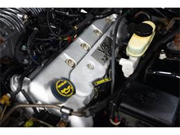 2003 Ford Cobra (CC-2070362) for sale in Bristol, Pennsylvania
