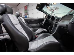 2003 Ford Cobra (CC-2070362) for sale in Bristol, Pennsylvania