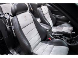 2003 Ford Cobra (CC-2070362) for sale in Bristol, Pennsylvania