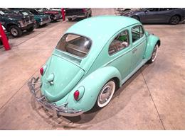 1962 Volkswagen Beetle (CC-2073621) for sale in Kentwood, Michigan
