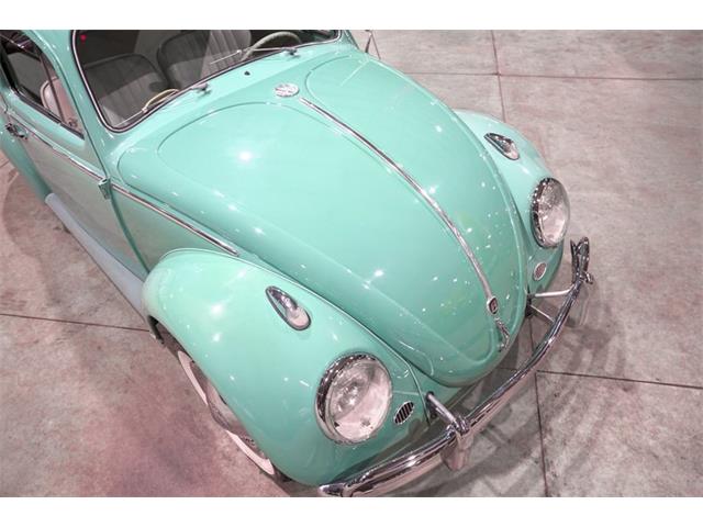1962 Volkswagen Beetle (CC-2073621) for sale in Kentwood, Michigan