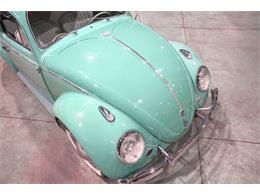 1962 Volkswagen Beetle (CC-2073621) for sale in Kentwood, Michigan
