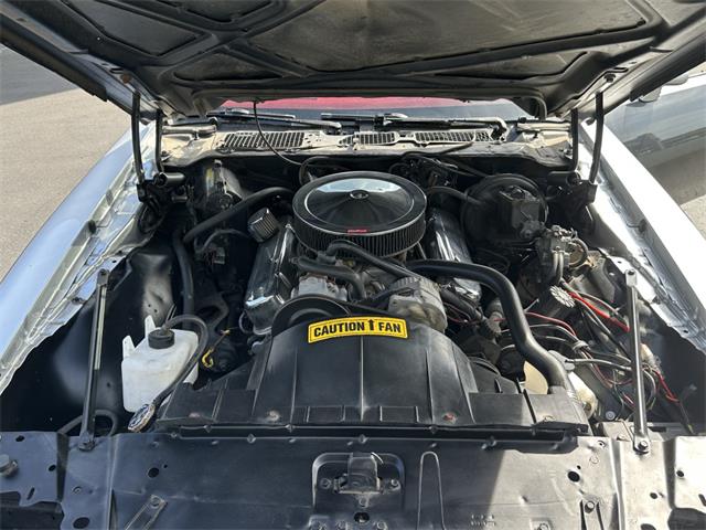 1980 Pontiac Firebird (CC-2070363) for sale in Reno, Nevada