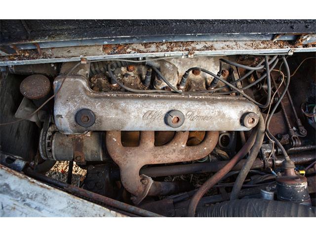 1952 Alfa Romeo 1900 (CC-2073664) for sale in Astoria, New York