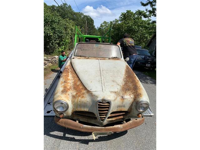 1952 Alfa Romeo 1900 (CC-2073664) for sale in Astoria, New York