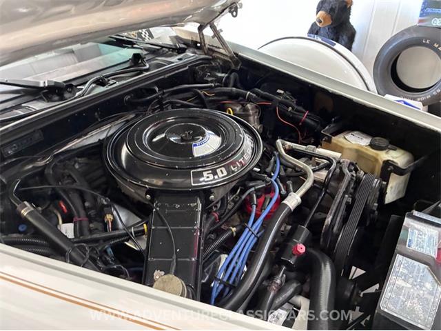 1984 CMC Tiffany (CC-2073675) for sale in Clearwater, Florida