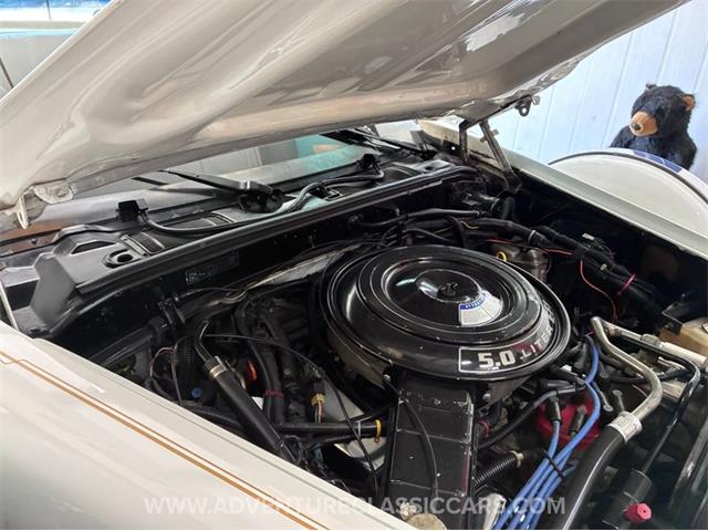 1984 CMC Tiffany (CC-2073675) for sale in Clearwater, Florida