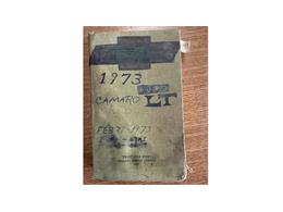 1973 Chevrolet Camaro (CC-2073684) for sale in Hilton, New York