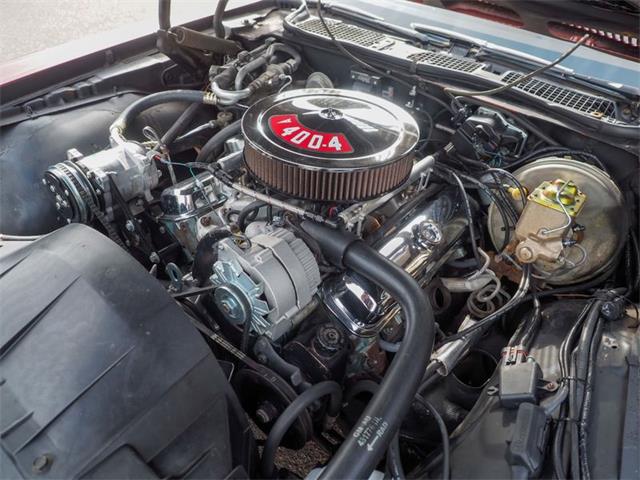 1971 Pontiac Firebird (CC-2073702) for sale in Englewood, Colorado
