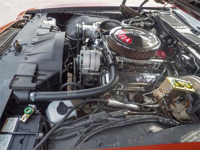 1971 Pontiac Firebird (CC-2073702) for sale in Englewood, Colorado