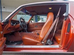 1971 Pontiac Firebird (CC-2073702) for sale in Englewood, Colorado