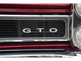 1965 Pontiac GTO (CC-2073706) for sale in Fort Lauderdale, Florida