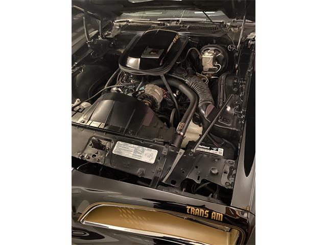 1977 Pontiac Firebird Trans Am (CC-2073779) for sale in York, Pennsylvania