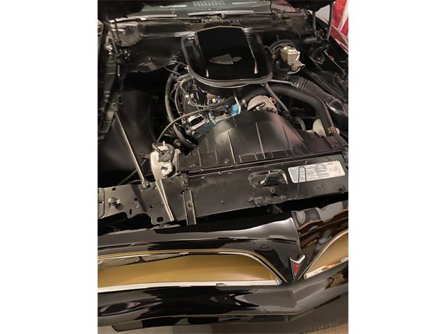 1977 Pontiac Firebird Trans Am (CC-2073779) for sale in York, Pennsylvania