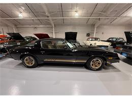 1981 Chevrolet Camaro Z28 (CC-2073793) for sale in Watford, Ontario