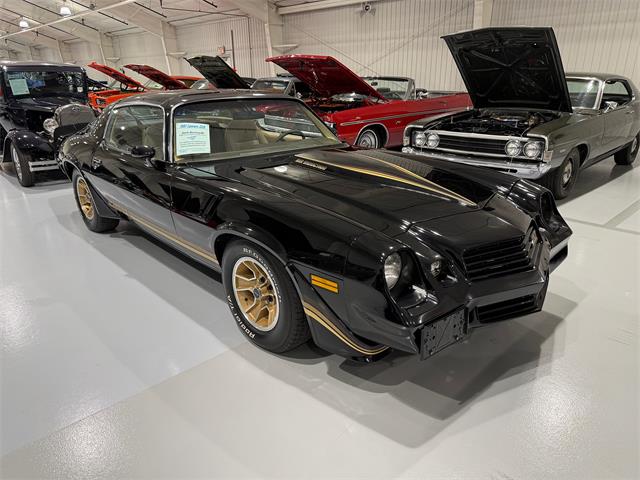 1981 Chevrolet Camaro Z28 (CC-2073793) for sale in Watford, Ontario