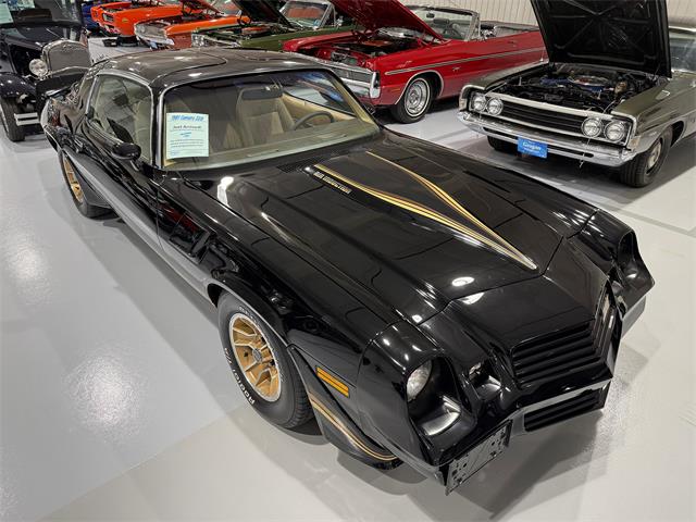 1981 Chevrolet Camaro Z28 (CC-2073793) for sale in Watford, Ontario