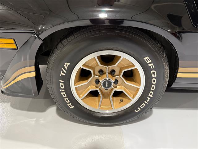 1981 Chevrolet Camaro Z28 (CC-2073793) for sale in Watford, Ontario