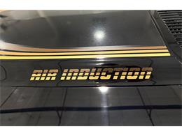 1981 Chevrolet Camaro Z28 (CC-2073793) for sale in Watford, Ontario