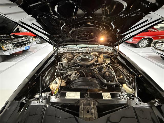 1981 Chevrolet Camaro Z28 (CC-2073793) for sale in Watford, Ontario