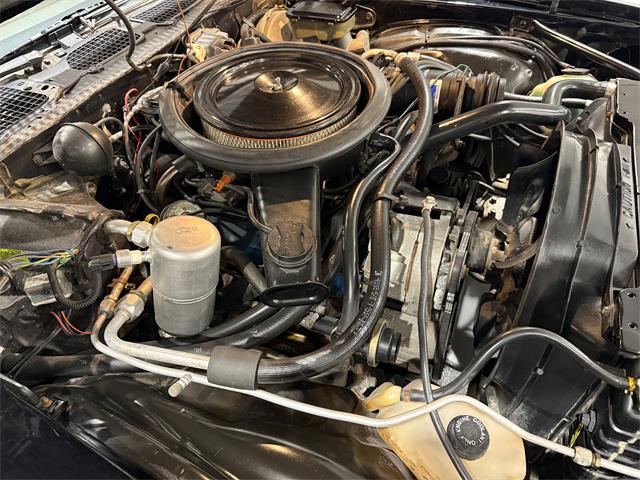 1981 Chevrolet Camaro Z28 (CC-2073793) for sale in Watford, Ontario