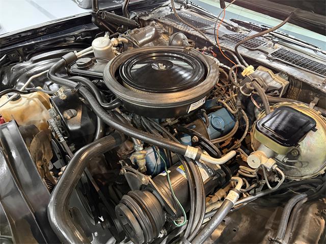 1981 Chevrolet Camaro Z28 (CC-2073793) for sale in Watford, Ontario