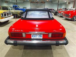 1979 Mercedes-Benz E450 (CC-2073803) for sale in Puslinch, Ontario