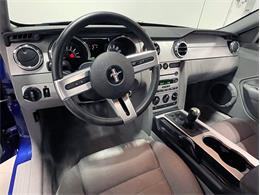 2005 Ford Mustang (CC-2073888) for sale in Depew, New York