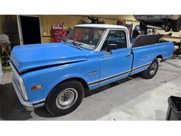 1972 Chevrolet C20 (CC-2073906) for sale in Cadillac, Michigan