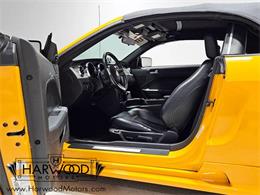 2007 Ford Mustang (CC-2070396) for sale in Cleveland, Ohio