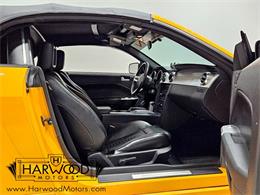 2007 Ford Mustang (CC-2070396) for sale in Cleveland, Ohio
