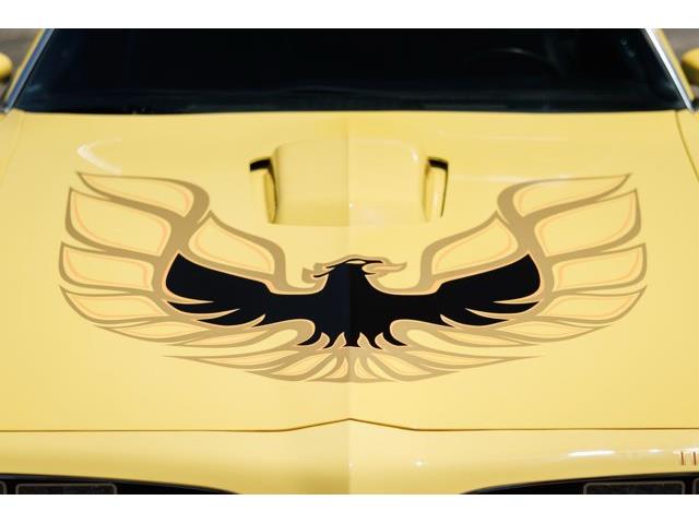 1977 Pontiac Firebird (CC-2073960) for sale in Carrollton, Texas