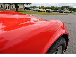 1981 Chevrolet Corvette (CC-2073964) for sale in Ramsey, Minnesota