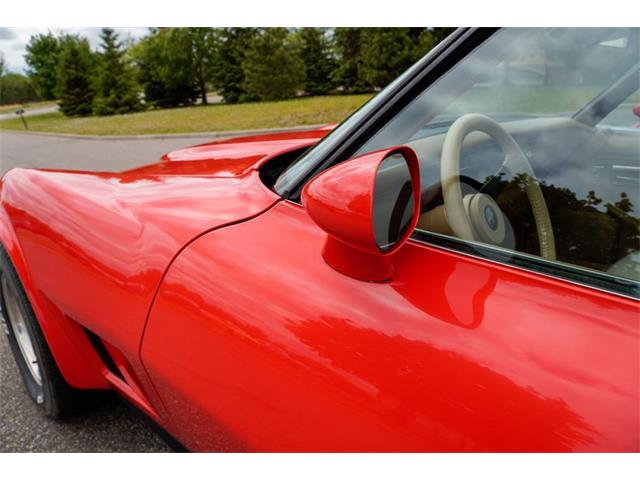 1981 Chevrolet Corvette (CC-2073964) for sale in Ramsey, Minnesota