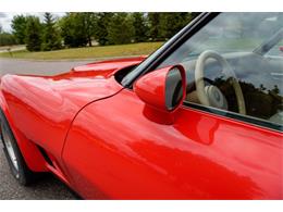 1981 Chevrolet Corvette (CC-2073964) for sale in Ramsey, Minnesota