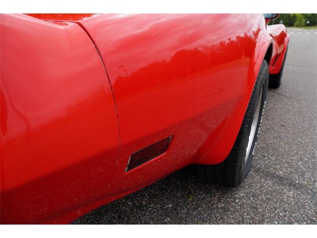 1981 Chevrolet Corvette (CC-2073964) for sale in Ramsey, Minnesota