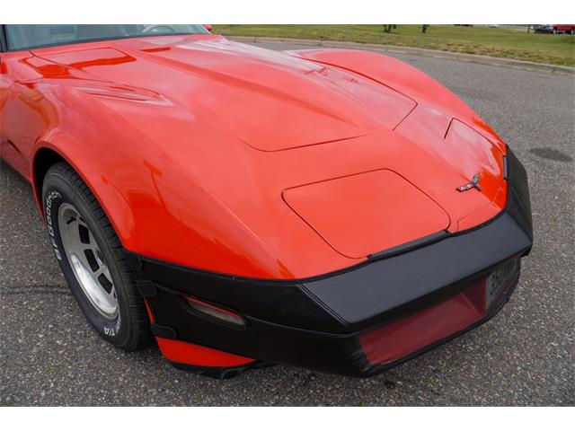 1981 Chevrolet Corvette (CC-2073964) for sale in Ramsey, Minnesota