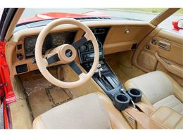 1981 Chevrolet Corvette (CC-2073964) for sale in Ramsey, Minnesota