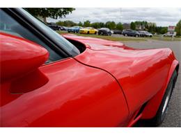 1981 Chevrolet Corvette (CC-2073964) for sale in Ramsey, Minnesota