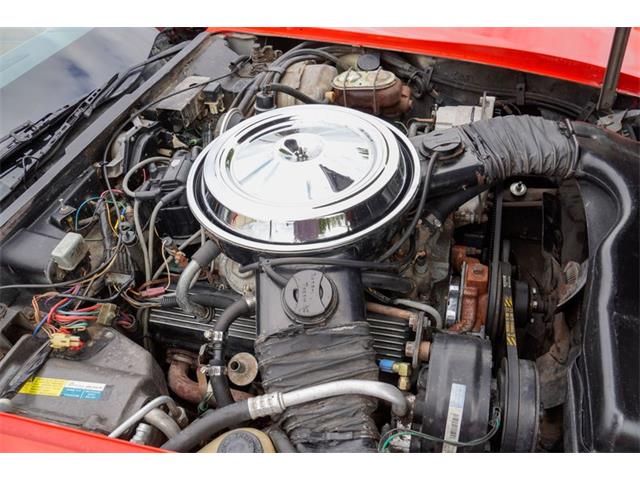1981 Chevrolet Corvette (CC-2073964) for sale in Ramsey, Minnesota