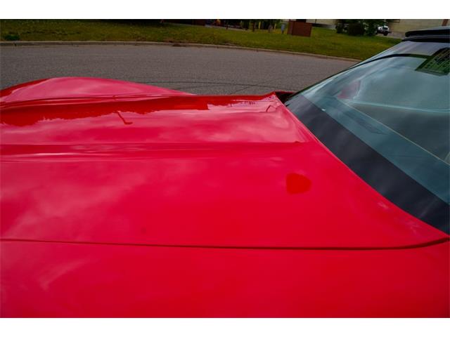 1981 Chevrolet Corvette (CC-2073964) for sale in Ramsey, Minnesota